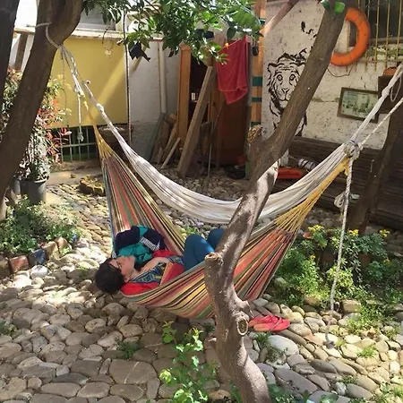 Hostel Backpacker