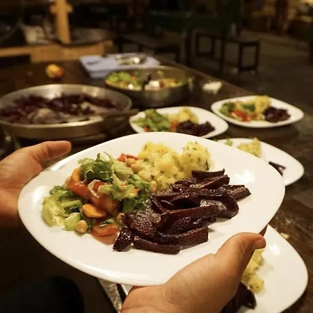 Backpacker Auberge de jeunesse Tirana