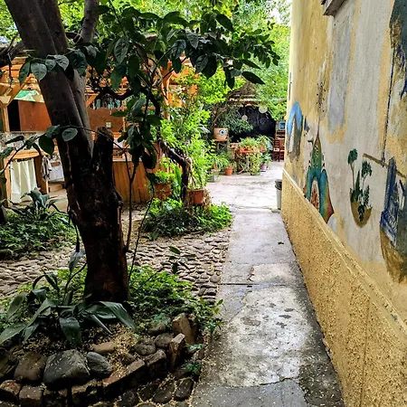 Hostel Backpacker Tiran