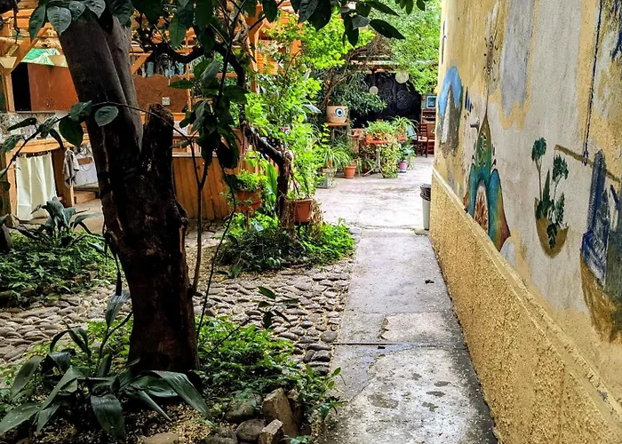 Vandrerhjem Backpacker Tirana