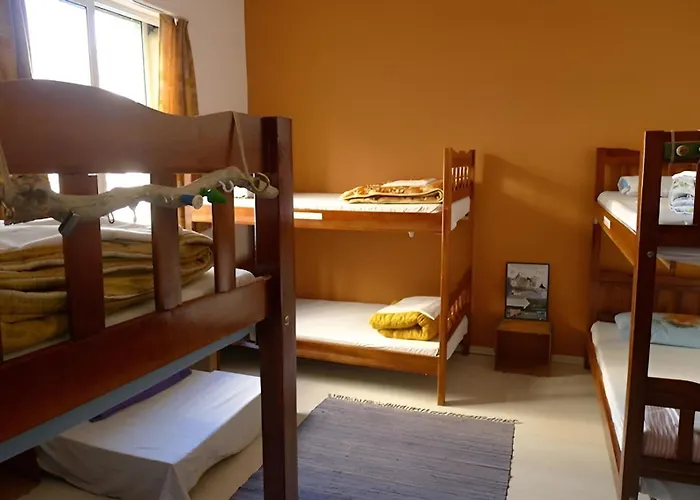 Vandrerhjem Backpacker